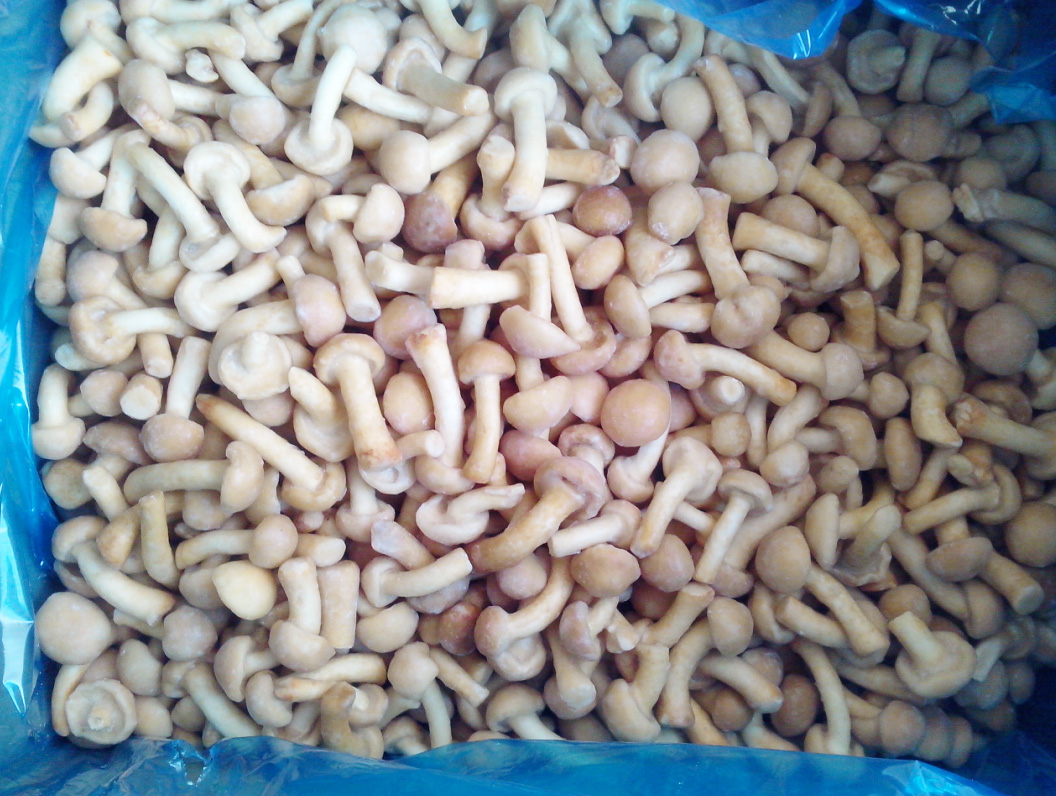 Frozen Nameko L grade