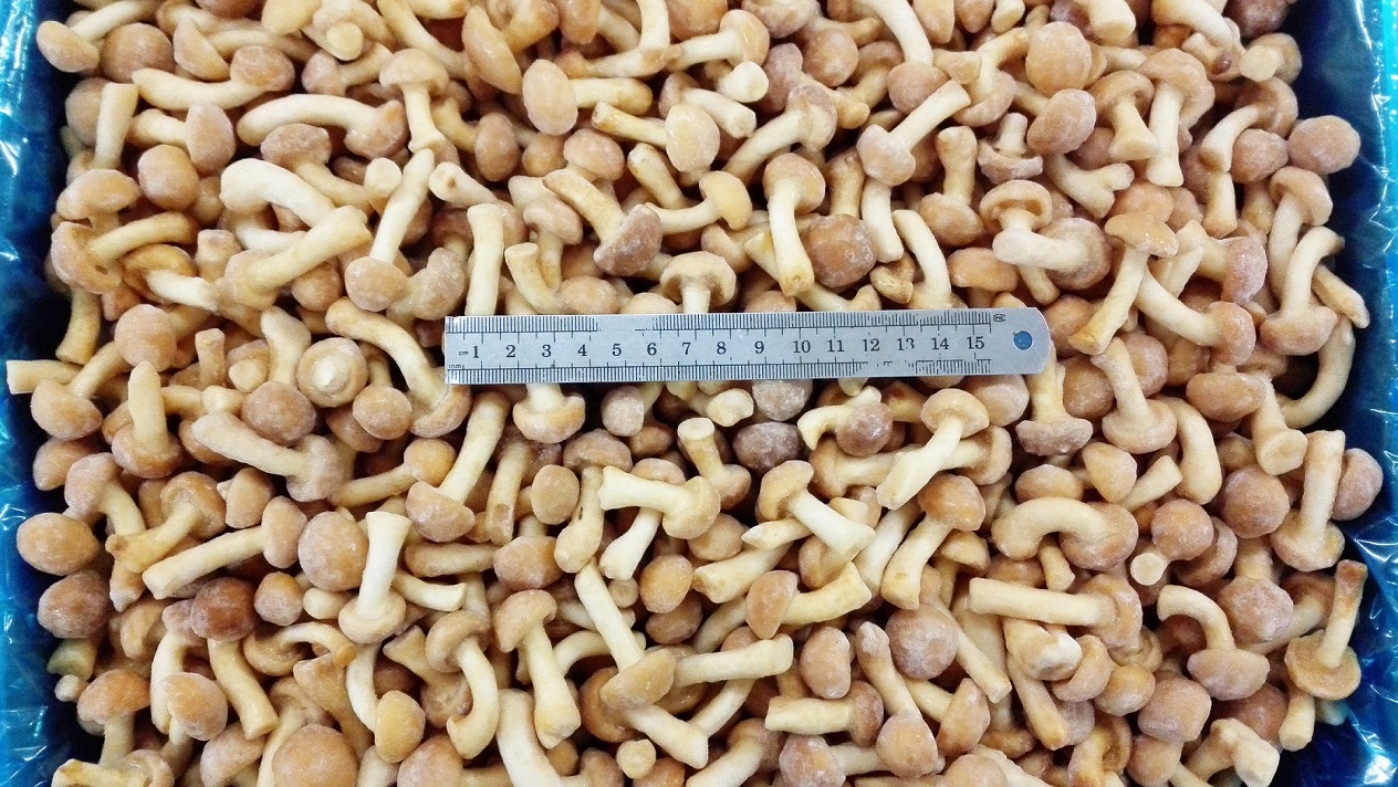 Frozen Nameko M2 grade