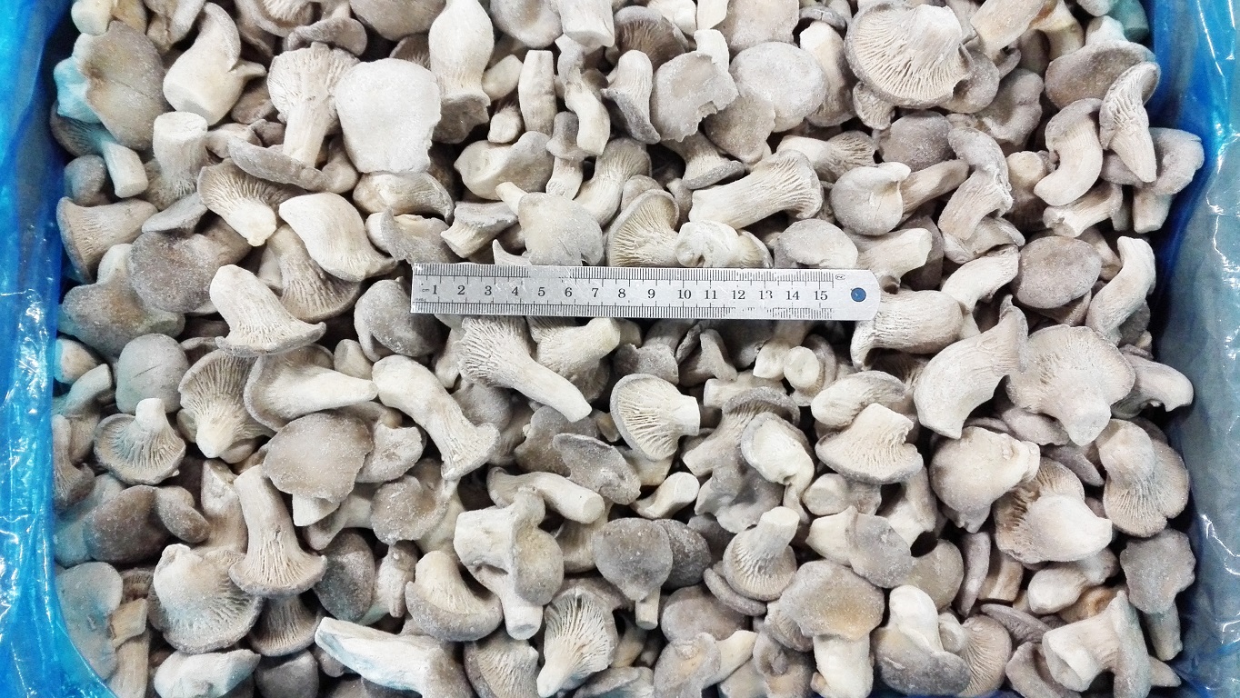 Frozen Pleurotes Baby 1-4cm