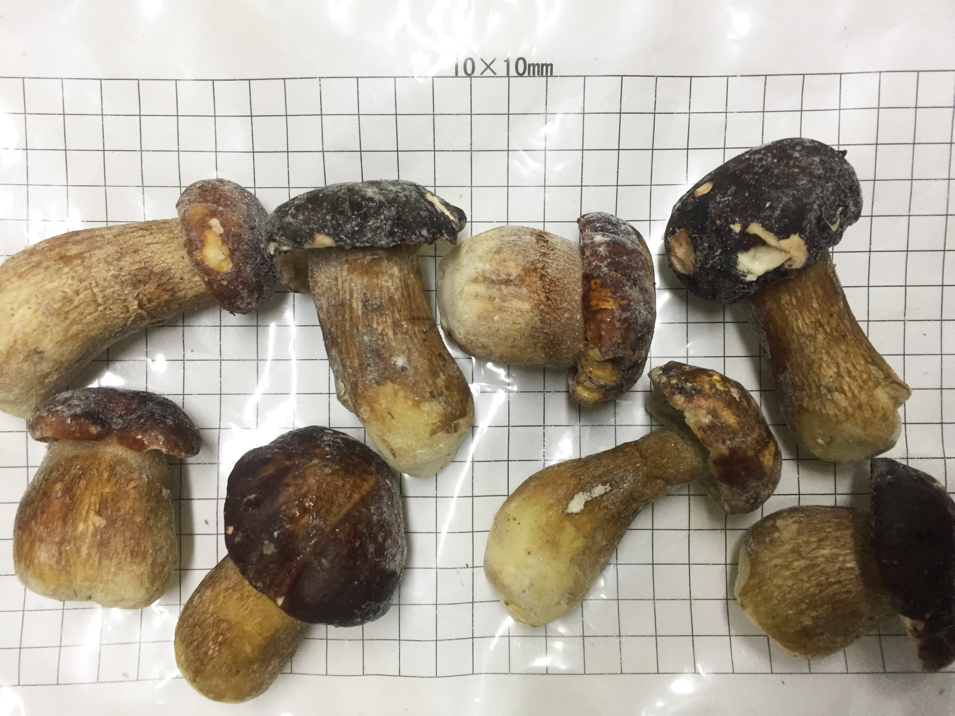 Frozen Boletus Edulis whole A 4-7cm