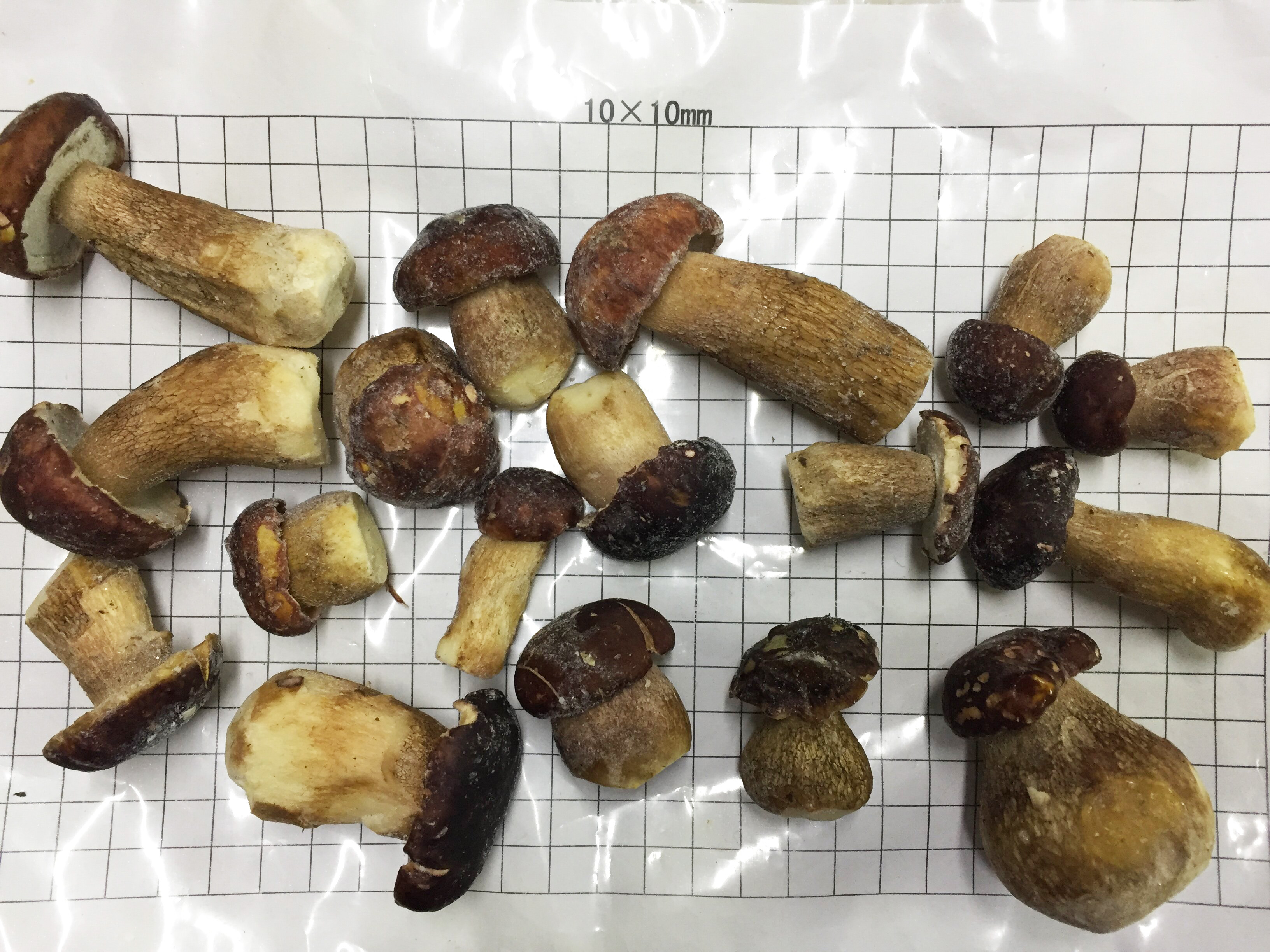 Frozen Boletus Edulis whole A 2-4cm