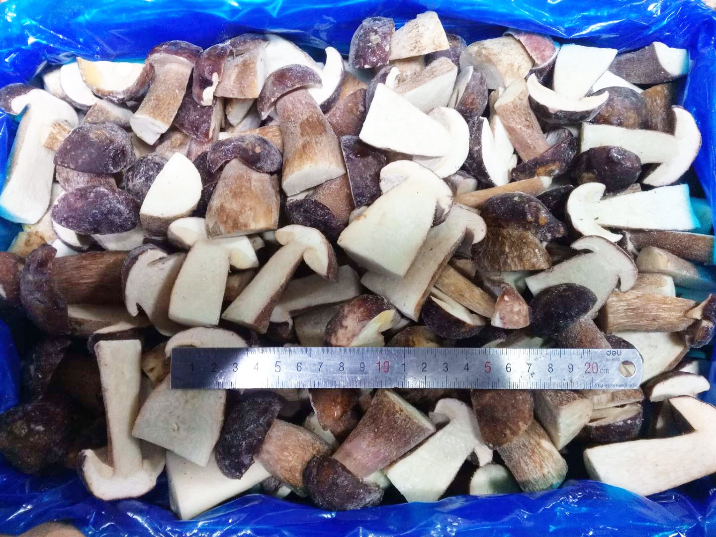 Frozen Boletus Edulis cut in half 2-4cm