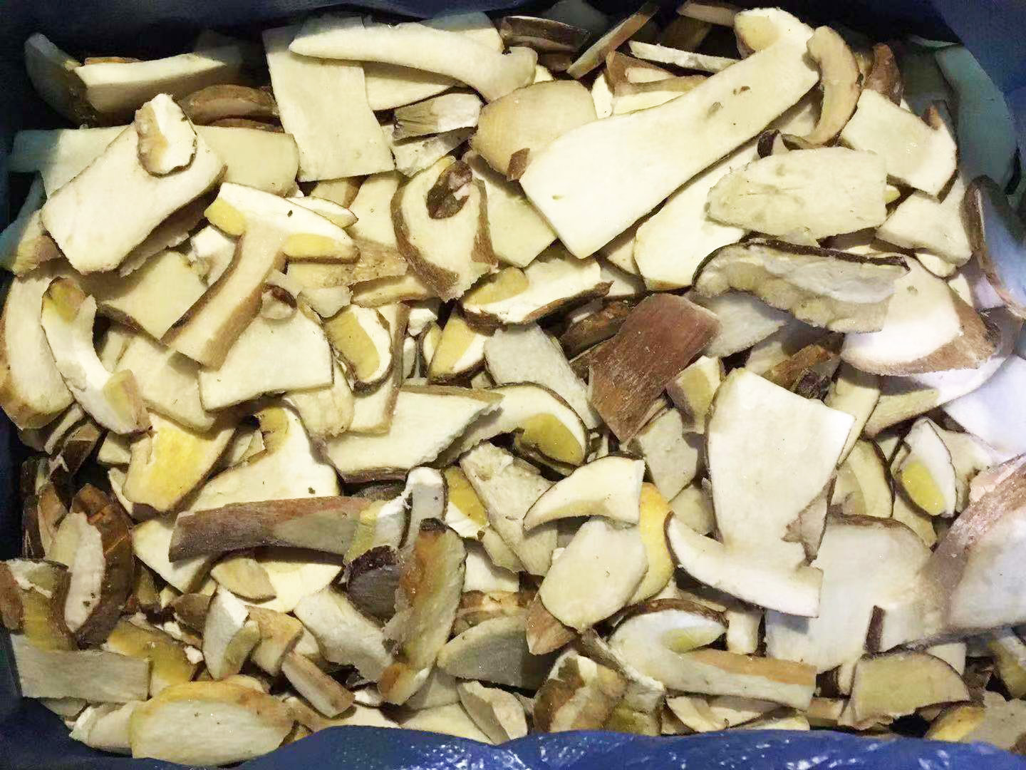 Frozen Boletus Edulis slice