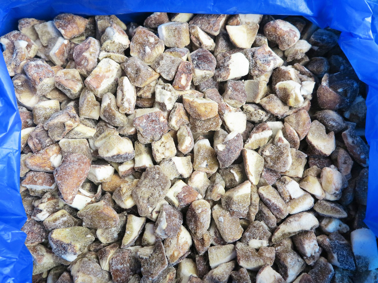Frozen Boletus Edulis green cap cube
