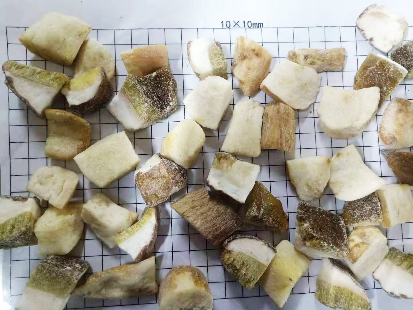 Frozen Boletus Edulis cube B