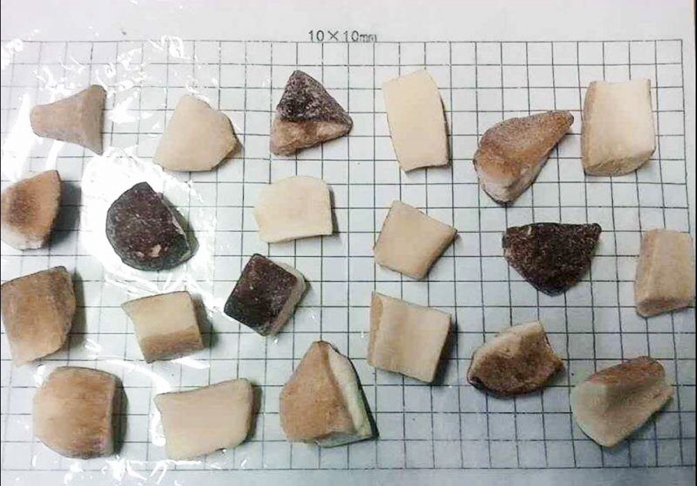 Frozen Boletus Edulis cube A