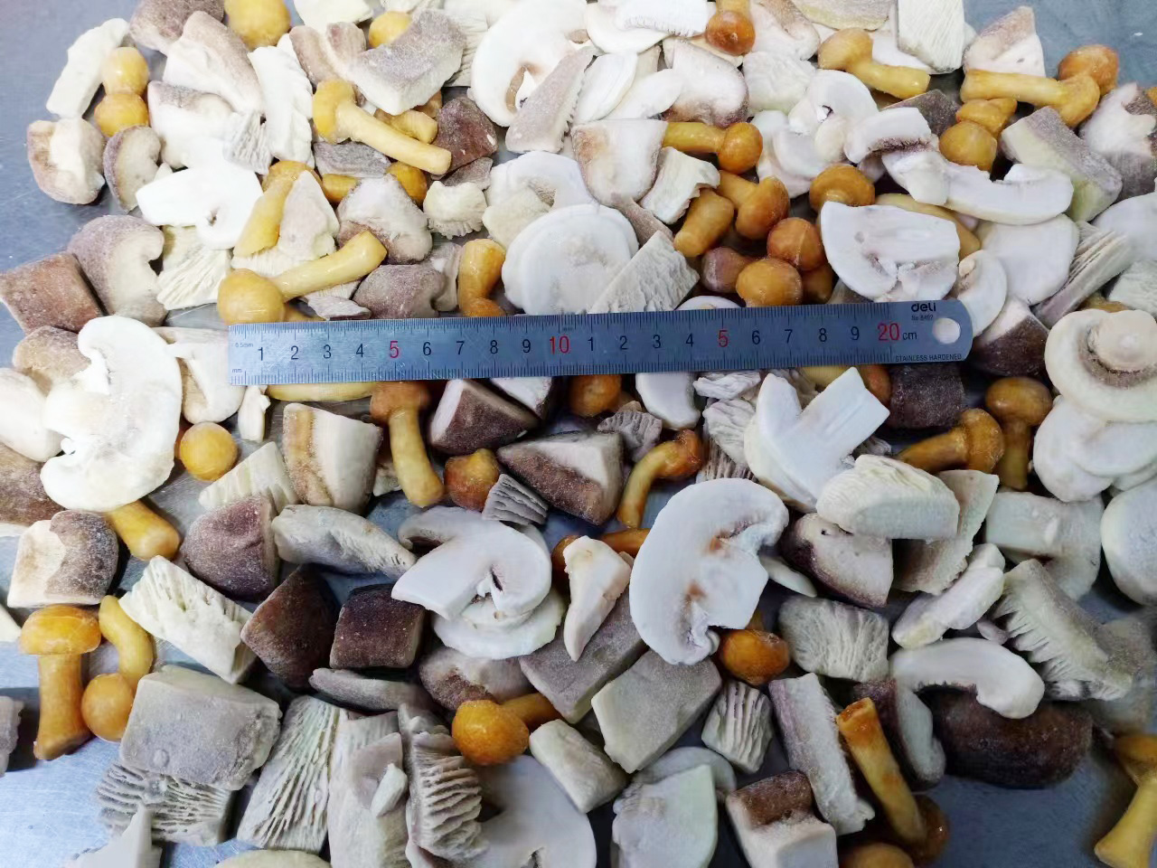 Frozen mixed mushroom