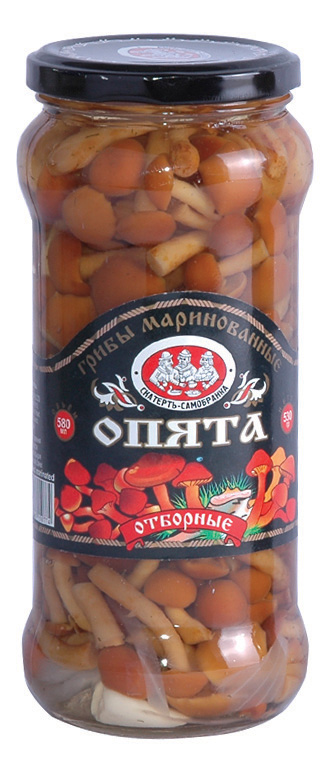 580ml marinated nameko