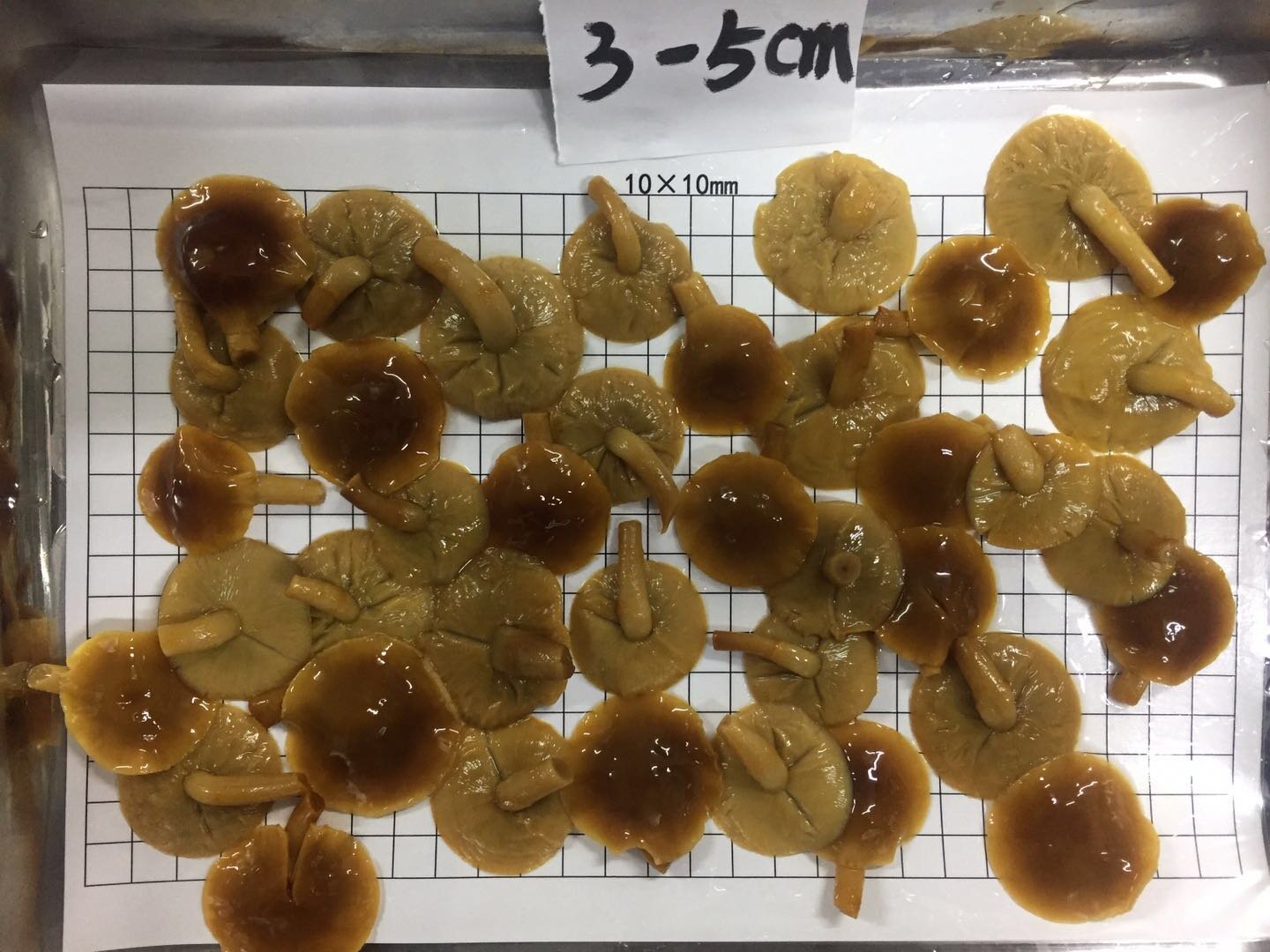 Nameko open cap in brine.