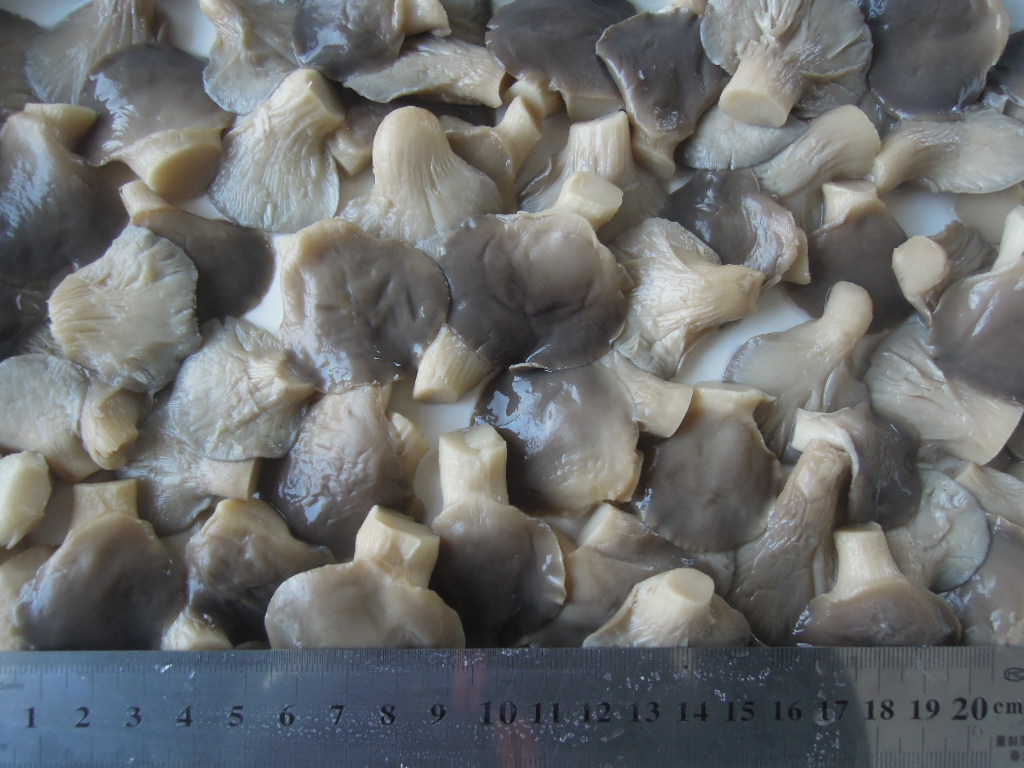 Pleurotus Ostreatus in brine whole 3-5cm