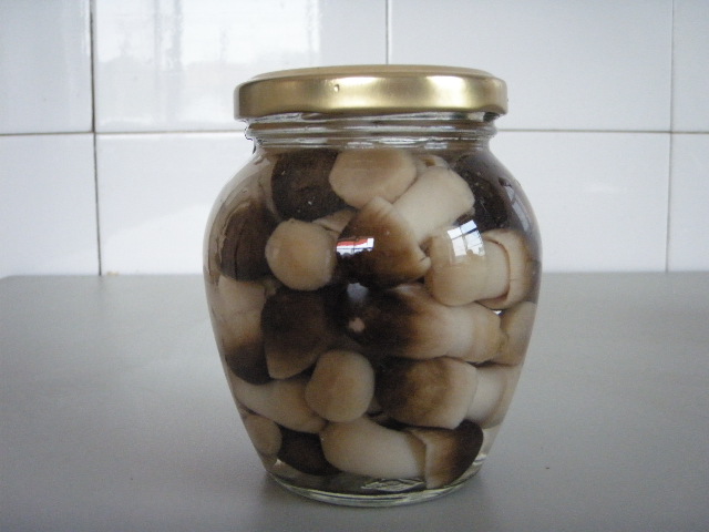 310ml Straw mushroom.JPG
